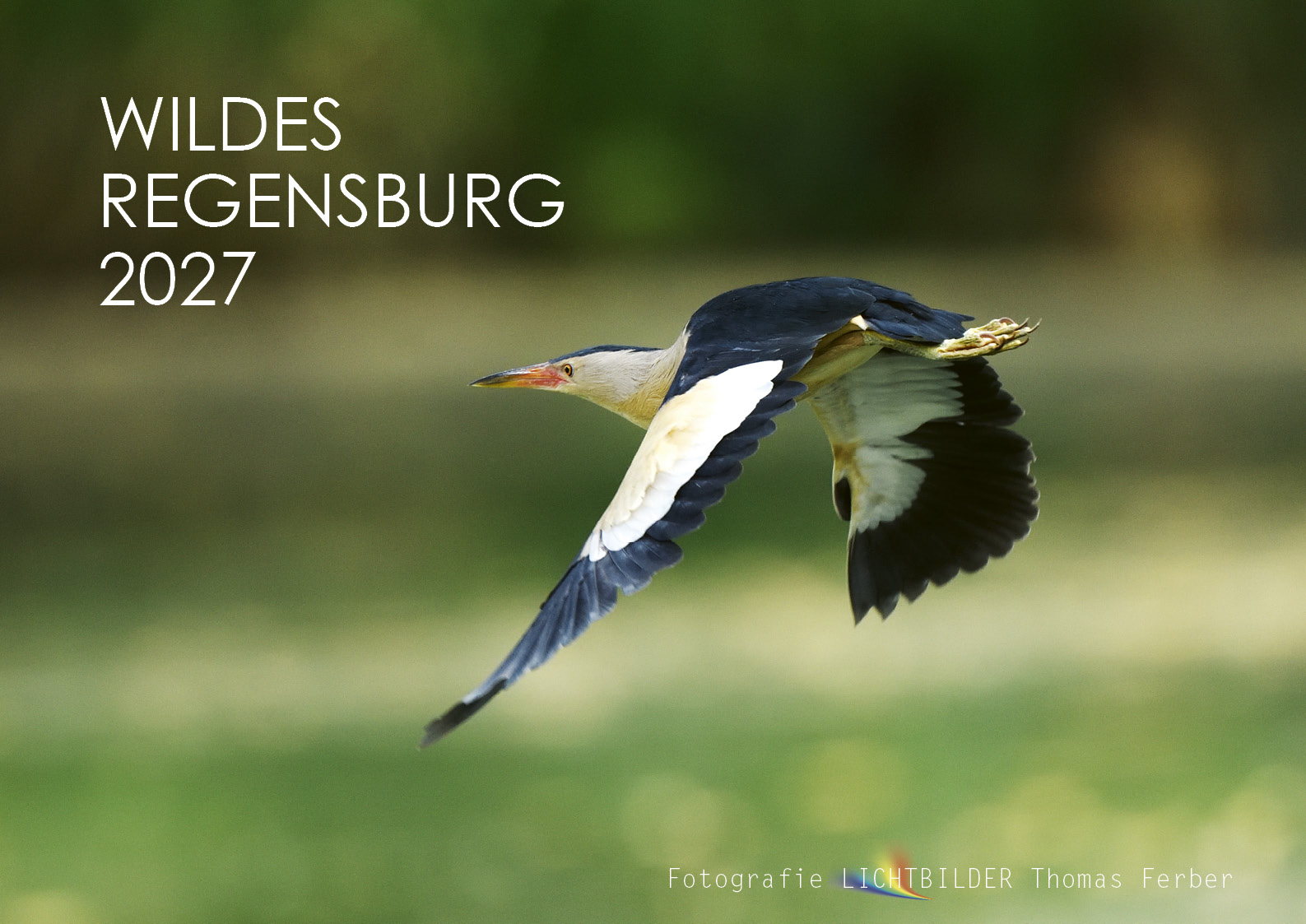 Wildes Regensburg 2027