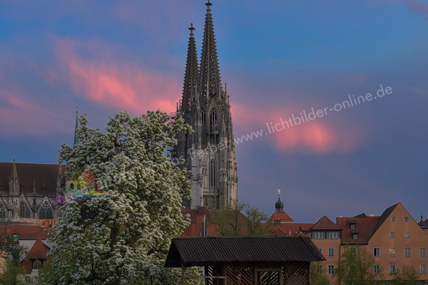 _DSC4151_-_Kopie
